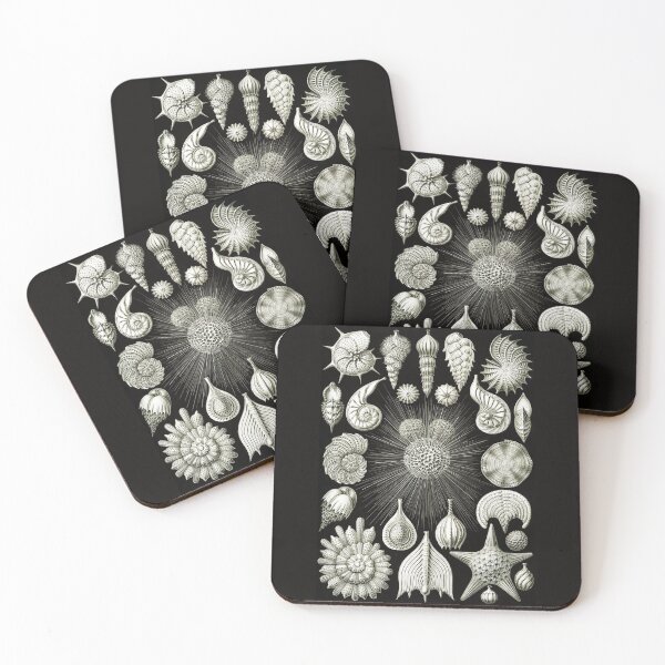 Item preview, Vintage Illustration - Thalamphora - Ernst Haeckel, Beach Theme Nature designed and sold by NewNomads.