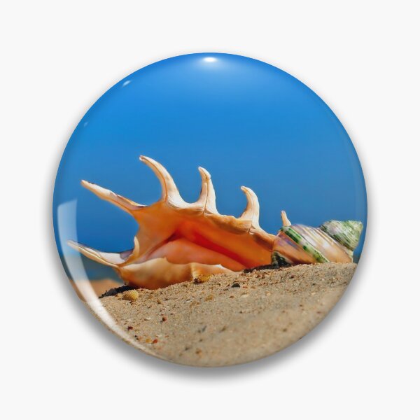 Item preview, Various conch shell on a beach against of the blue sea and sky. designed and sold by IaroslavB.