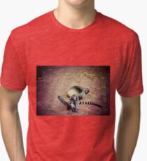 Affectionate Lemurs Tri-blend T-Shirt