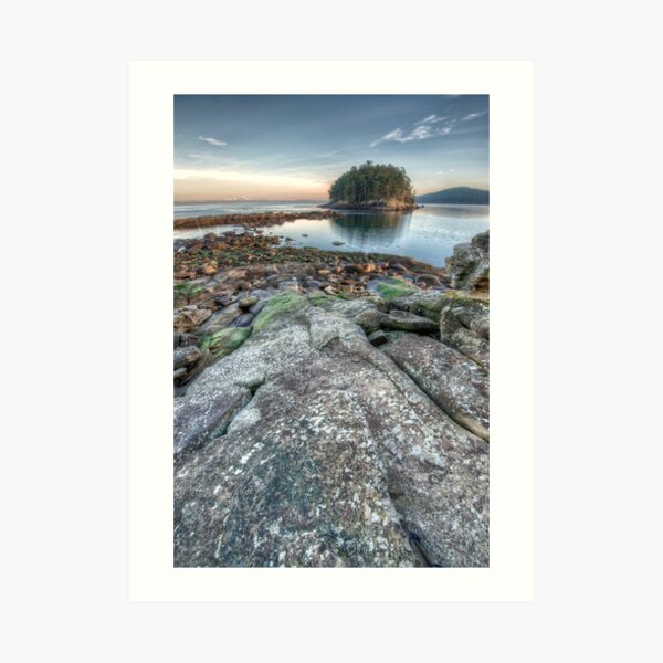 Bennett Bay Point South Art Print
