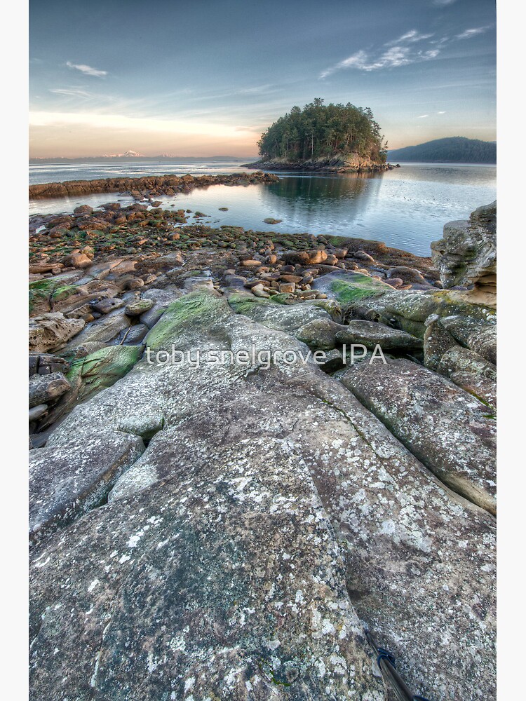 Bennett Bay Point South by tobysnelgrove