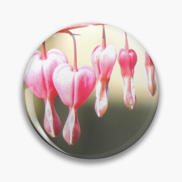Item preview, Dincentra, Synonym Flower photograph, heart shaped flower photo designed and sold by MollyJaneArt.