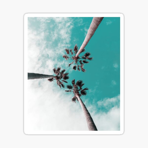 “Palms trees wallpaper " Sticker by Mk5studio | Redbubble