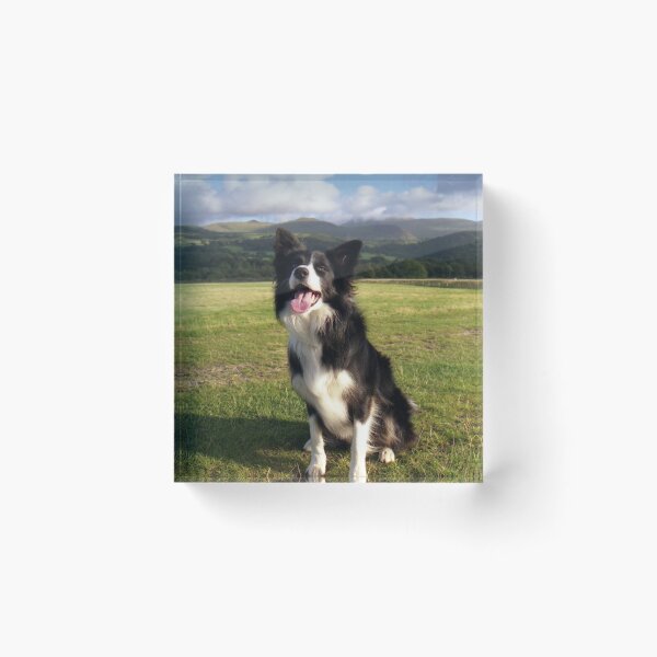 Item preview, Bob on the Cob designed and sold by Michael Haslam.