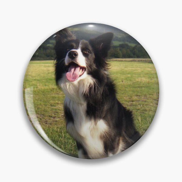 Item preview, Bob on the Cob designed and sold by Michael Haslam.
