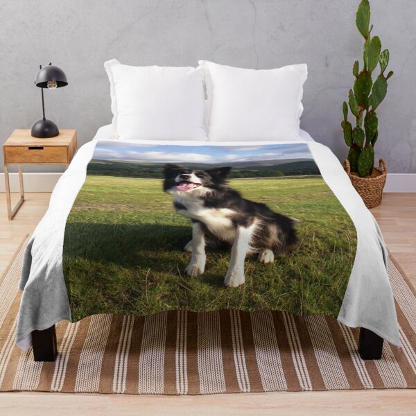 Item preview, Bob on the Cob designed and sold by Michael Haslam.