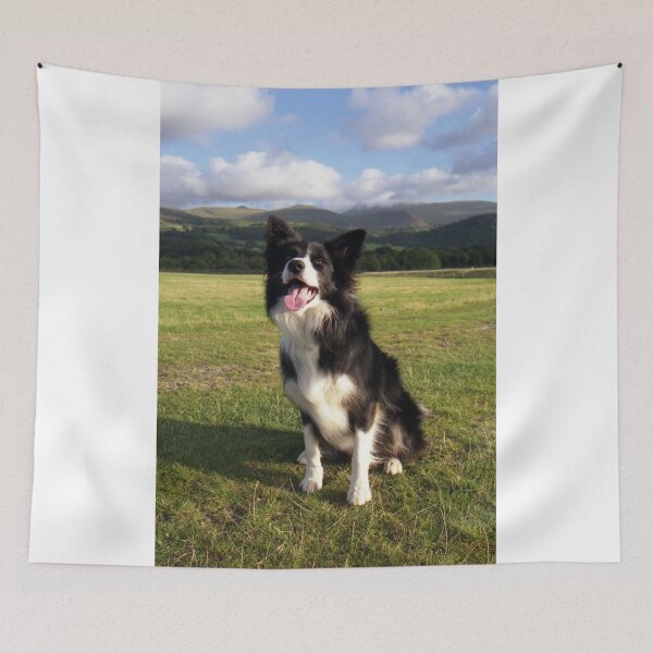 Item preview, Bob on the Cob designed and sold by Michael Haslam.