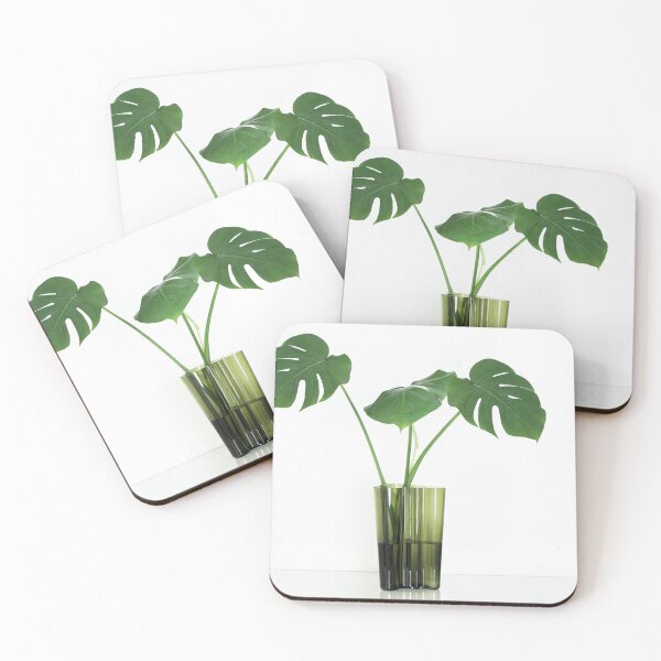 Item preview, Monstera Deliciosa aka Swiss Chees Plant baby in green vase, white background designed and sold by HTPOP.