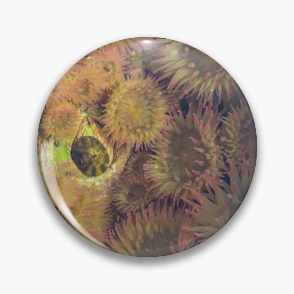 Item preview, Anemone  designed and sold by DigitalGen.