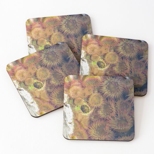 Item preview, Anemone  designed and sold by DigitalGen.