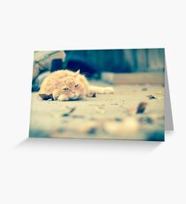 Gracie Greeting Card