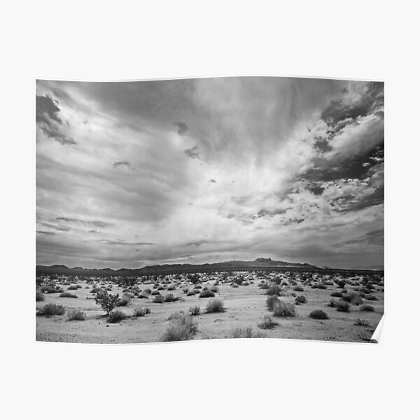 Mojave National Preserve Poster