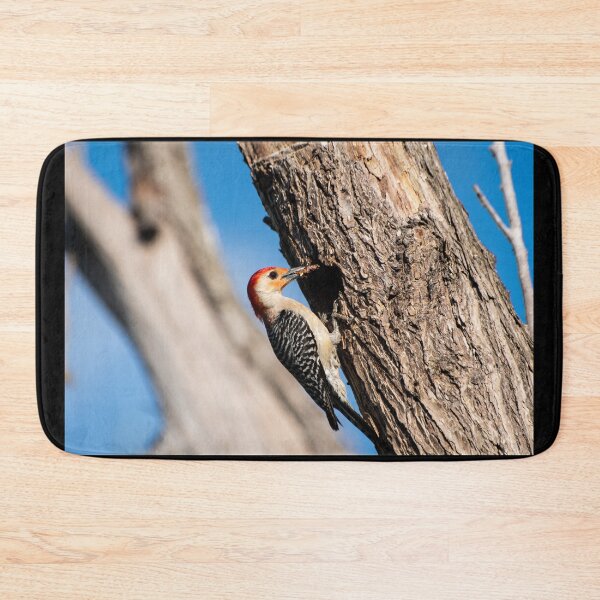 Item preview, Red Bellied Woodpecker with food in its beak designed and sold by Stretch Clendennen.