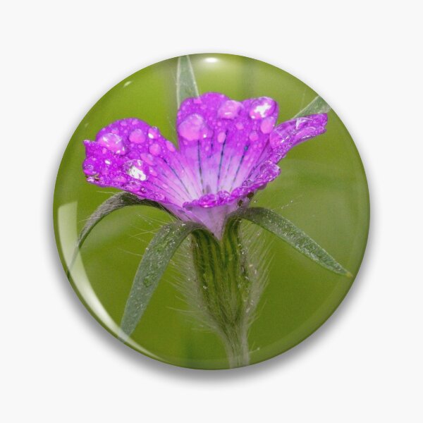 Item preview, Corncockle Flower designed and sold by rwhooster.