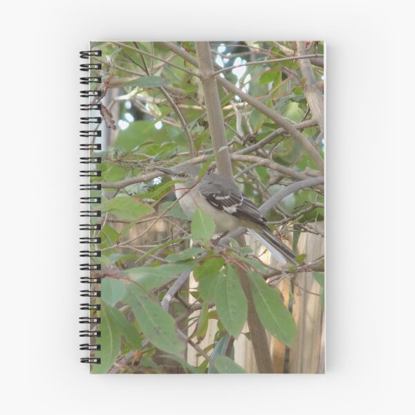 Item preview, Northern Mocking Bird (Mimus polyglottos) in Firetree  designed and sold by Inuyasha907.