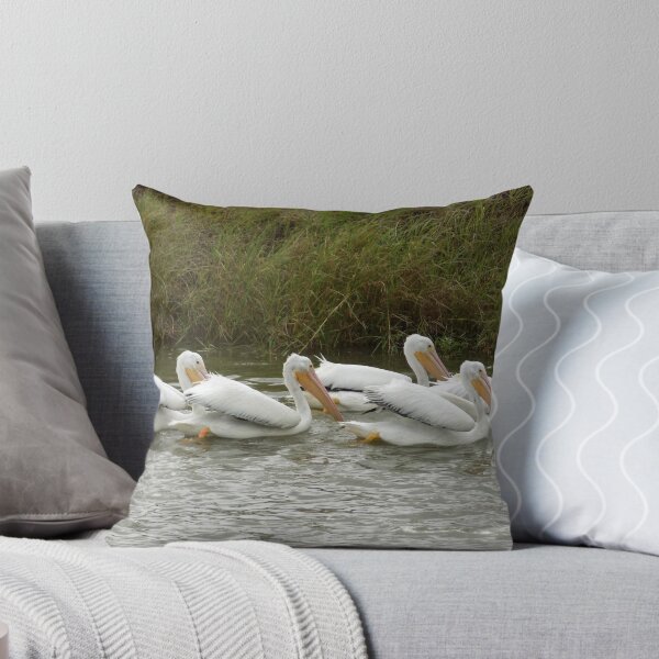 Aperçu de l'œuvre Une boule de pélicans blancs américains (Pelecanus erythrorhynchos) créée et vendue par Inuyasha907.