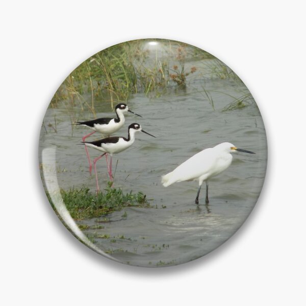 Item preview, Snowy Egret (Egretta thula) and a pair of Black-Necked Stilts (Himantopus mexicanus) designed and sold by Inuyasha907.