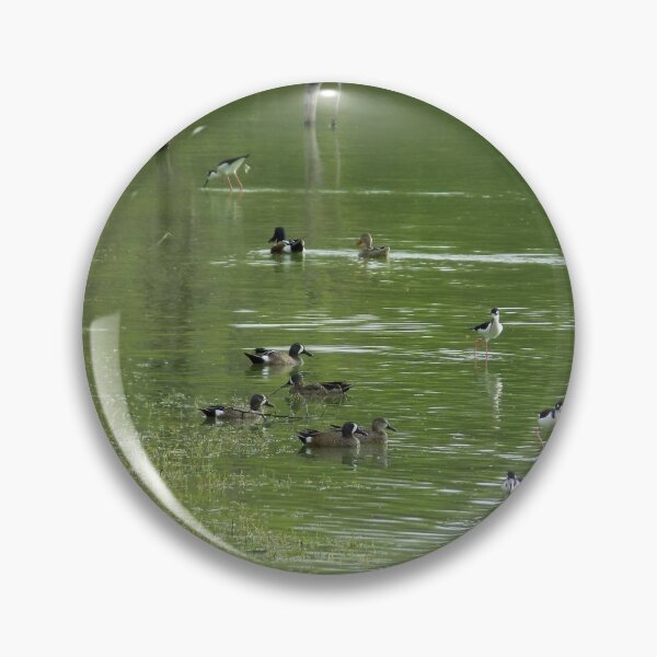 Item preview, Freshwater Fowl Foraging  designed and sold by Inuyasha907.