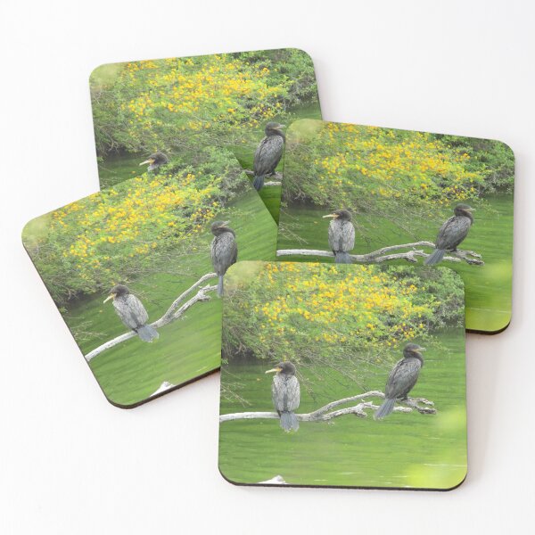 Item preview, Double-Crested Cormorant (Phalacrocorax auritus) and Neotropic Cormorant (Phalacrocorax brasilianus) designed and sold by Inuyasha907.
