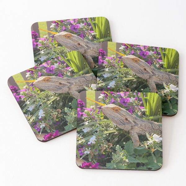 Item preview, Bearded Dragon :: Reptiles and Amphibians designed and sold by Platinumfrog.