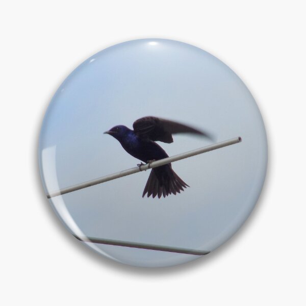 Item preview, Male Purple Martin (Progne subis) Flapping designed and sold by Inuyasha907.