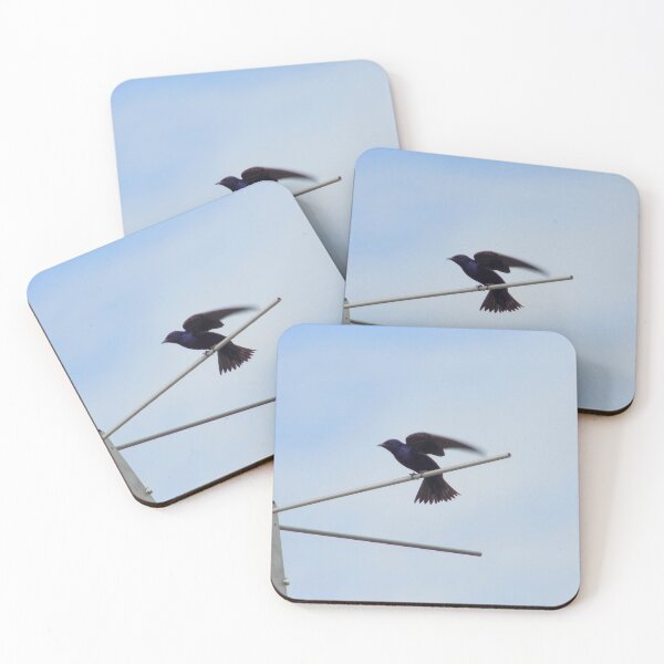 Item preview, Male Purple Martin (Progne subis) Flapping designed and sold by Inuyasha907.