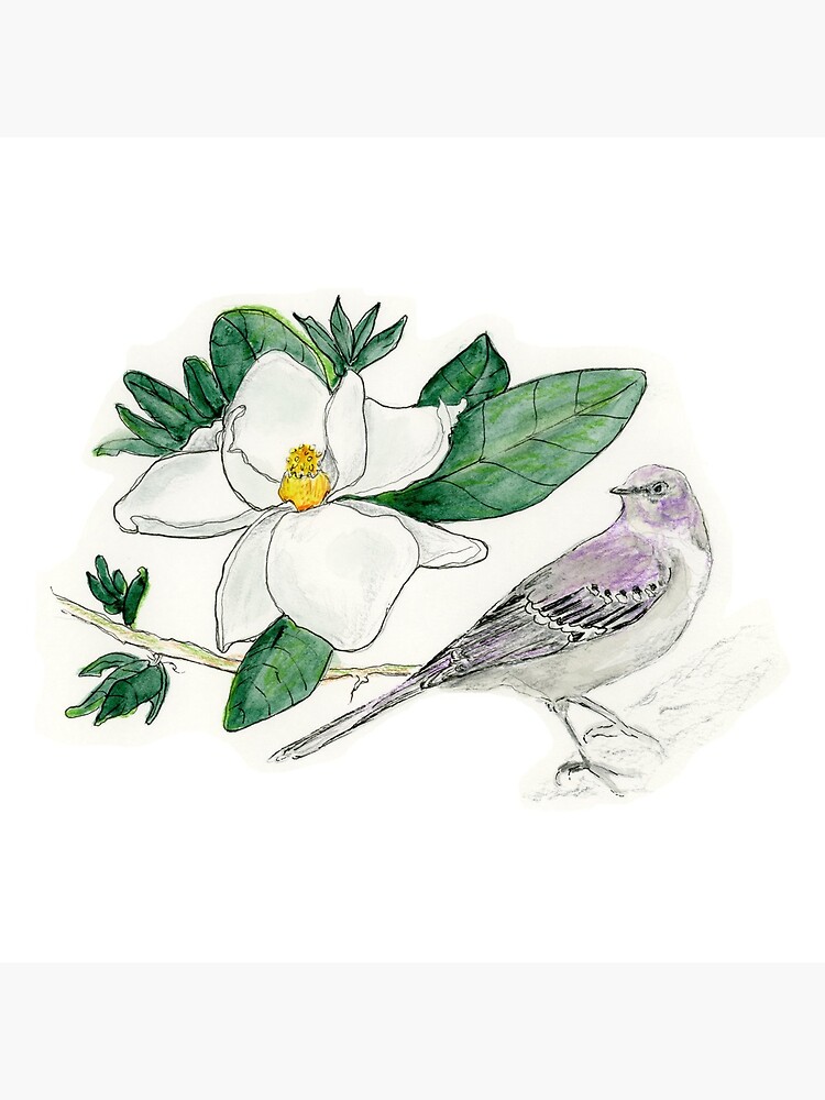 "Mississippi State Bird and Flower" Coasters (Set of 4) for Sale by