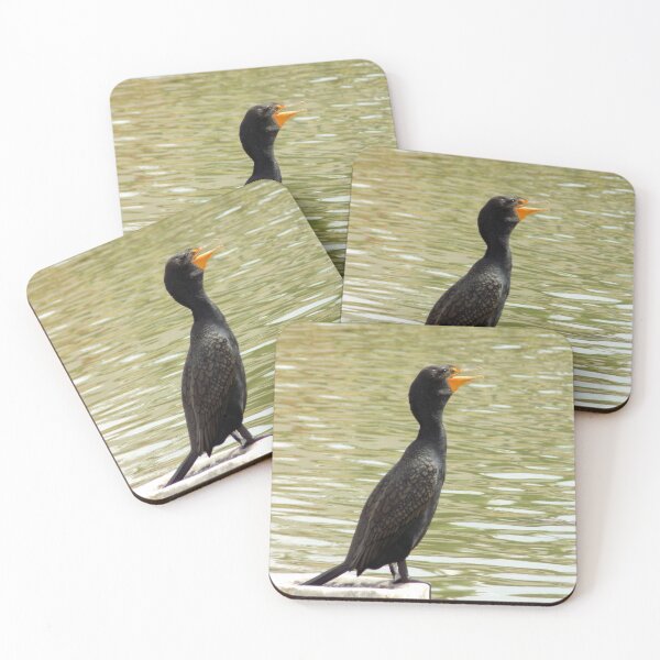 Item preview, Double-Crested Cormorant (Phalacrocorax auritus) at a Pond designed and sold by Inuyasha907.