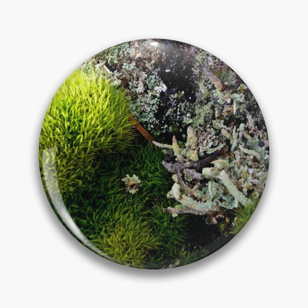 Item preview, A MINIATURE WORLD OF MOSS AND LICHEN! designed and sold by Elaine Bawden.