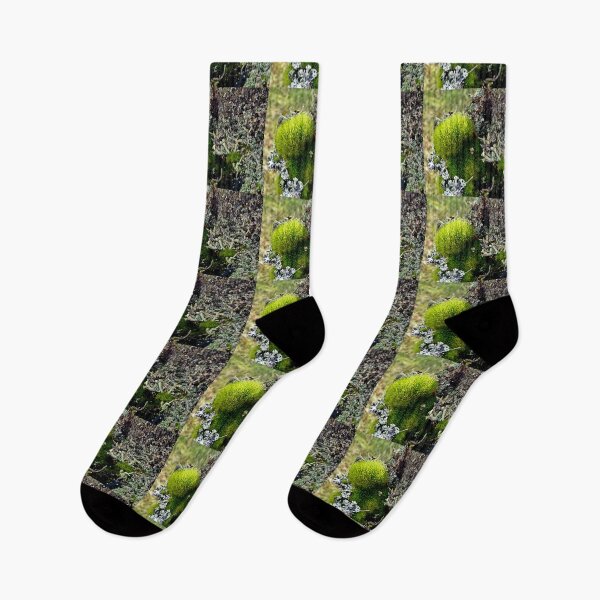 Item preview, A MINIATURE WORLD OF MOSS AND LICHEN! designed and sold by Elaine Bawden.