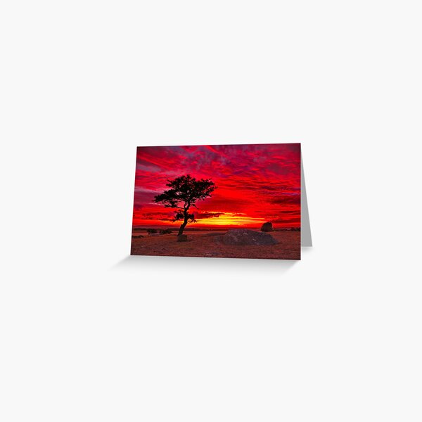 "The Sky Is All Ablaze" Greeting Card