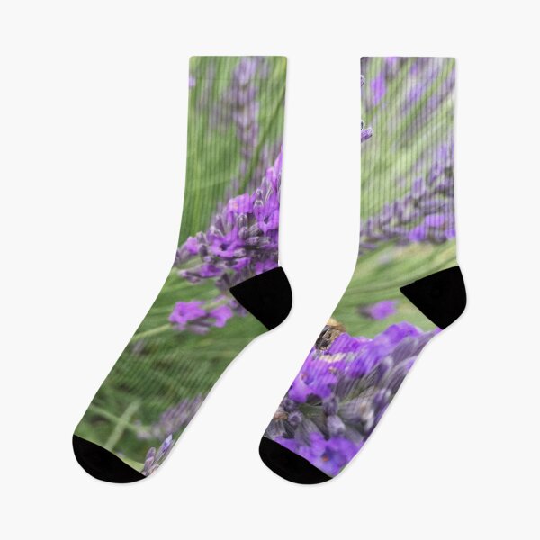 Item preview, Fuzzy Pollinating Bee in Lavender Field designed and sold by AubRutz.