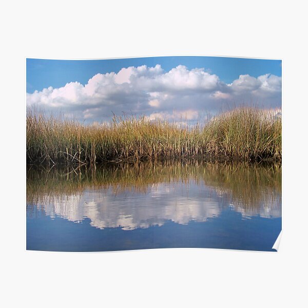 Sawgrass Water Sky and clouds 1 Poster