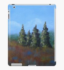 The Ridge iPad Case/Skin