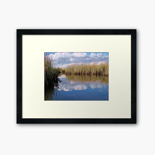 Sawgrass Water Sky and clouds 2 Framed Art Print