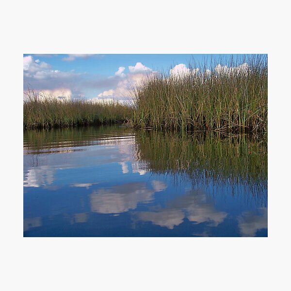Sawgrass Water Sky and clouds 6 Photographic Print