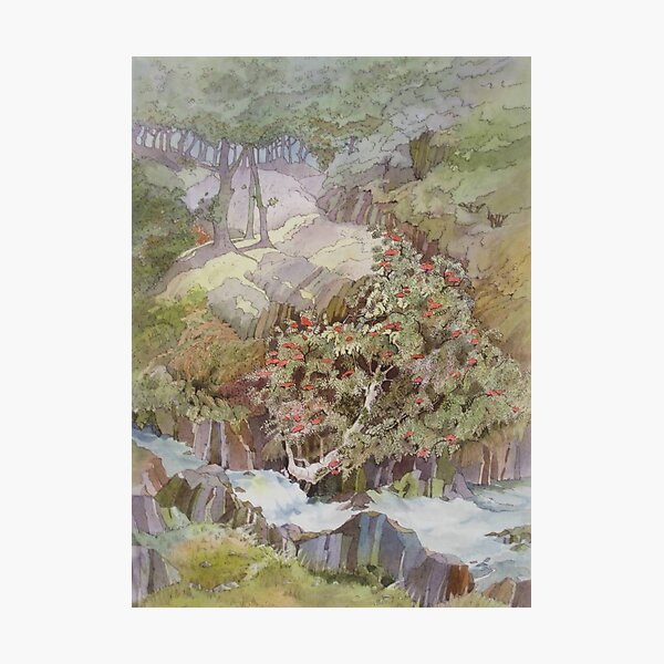 Nant Cadair Photographic Print
