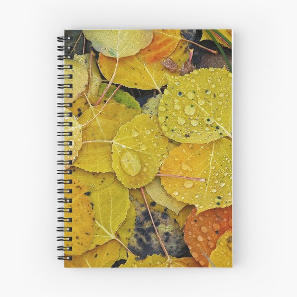 Artikelvorschau, Wassertropfen auf Herbst Espenblättern entworfen und verkauft von Lori Funk.