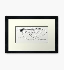 Insect Wing Framed Print