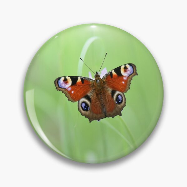 Item preview, Peacock butterfly designed and sold by IoanaHraball.