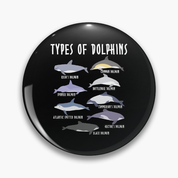 Item preview, Types Of Dolphins Educational designed and sold by fatamyfan1.
