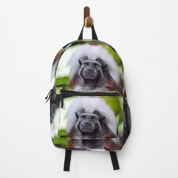 Item preview, Cotton-Top Tamarin designed and sold by Savannah Gibbs.