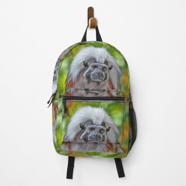 Item preview, Cottontop Tamarin designed and sold by Savannah Gibbs.