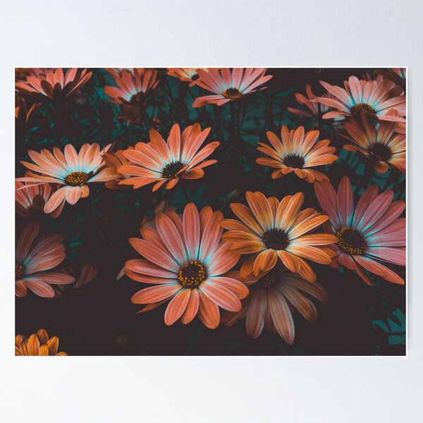 Item preview, Rose Plant designed and sold by Ayoyo-Harry.
