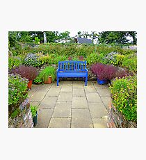 The Walled Garden Photographic Print