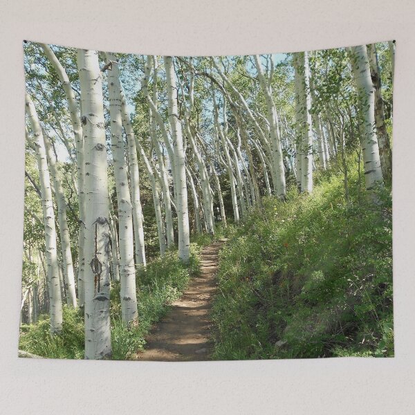Artikelvorschau, Colorado. Machen Sie eine mentale Pause in den Bergen und auf diesem Weg mit einem der Produkte auf diesem Foto. entworfen und verkauft von Lori Funk.