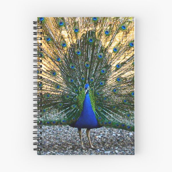 Item preview, Peacock designed and sold by Maria  Gonzalez.