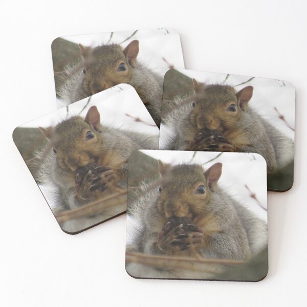 Item preview, Kinda Squirrly  designed and sold by mlh-photoss.