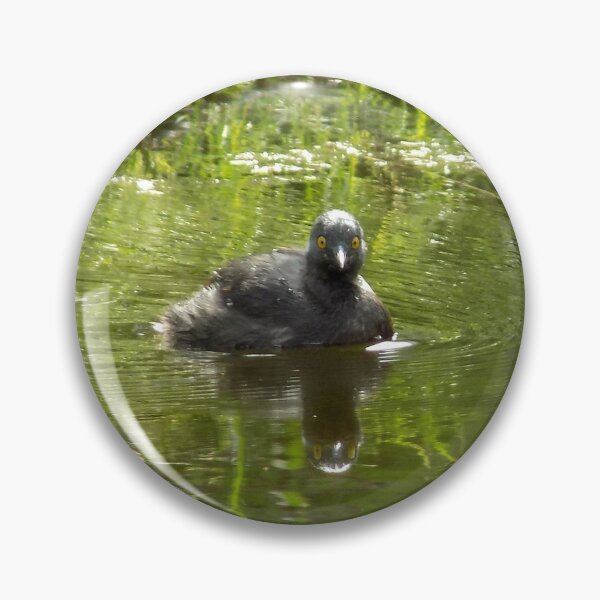 Item preview, Least Grebe (Tachybaptus dominicus) designed and sold by Inuyasha907.
