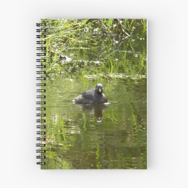 Item preview, Least Grebe (Tachybaptus dominicus) designed and sold by Inuyasha907.